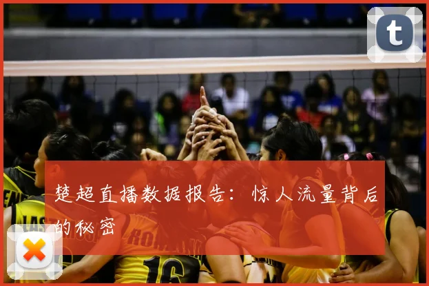 楚超直播数据报告：惊人流量背后的秘密