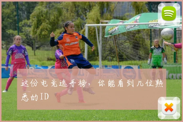 这份电竞选手榜，你能看到几位熟悉的ID