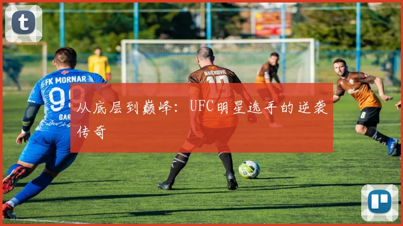 从底层到巅峰：UFC明星选手的逆袭传奇