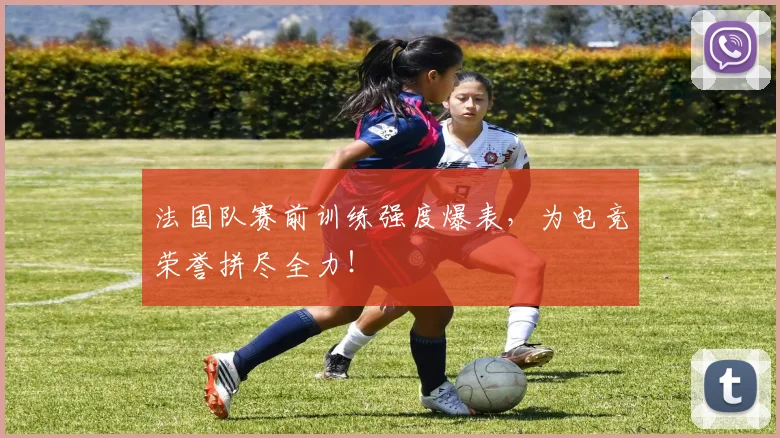 法国队赛前训练强度爆表,为电竞荣誉拼尽全力!
