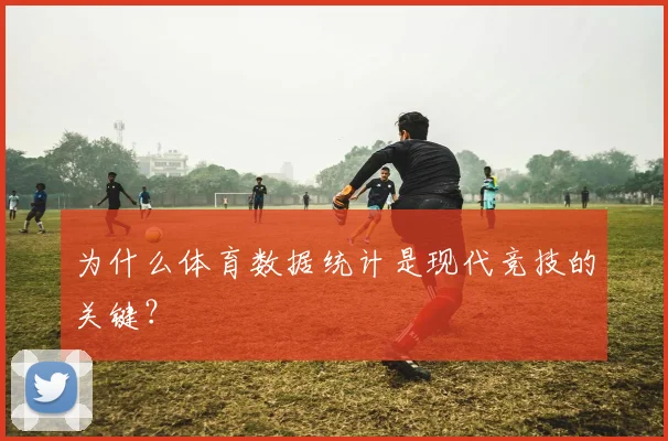 为什么体育数据统计是现代竞技的关键？