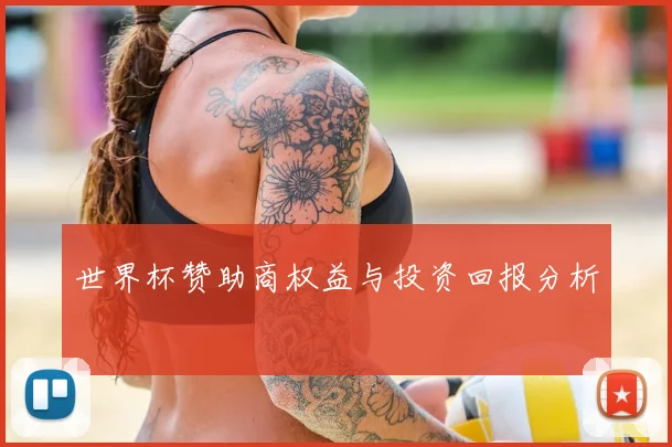 世界杯赞助商权益与投资回报分析