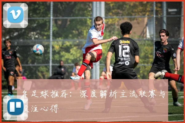 年足球推荐：深度解析主流联赛与投注心得