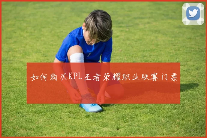 如何购买KPL王者荣耀职业联赛门票