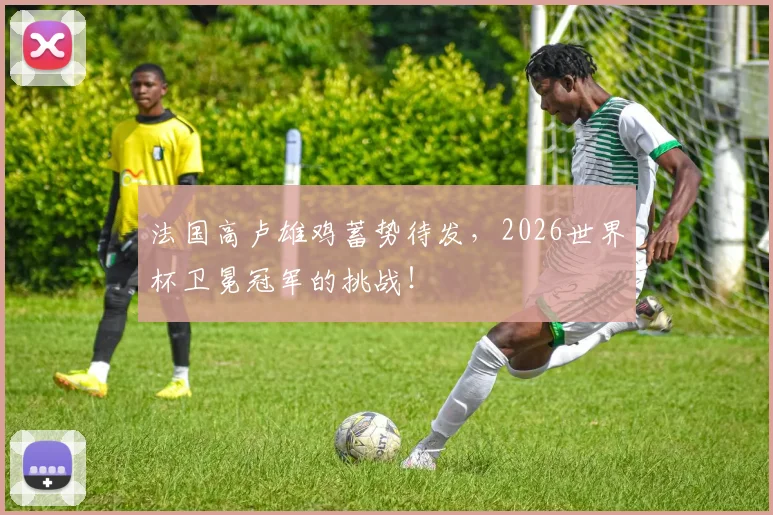 法国高卢雄鸡蓄势待发,2026世界杯卫冕冠军的挑战!
