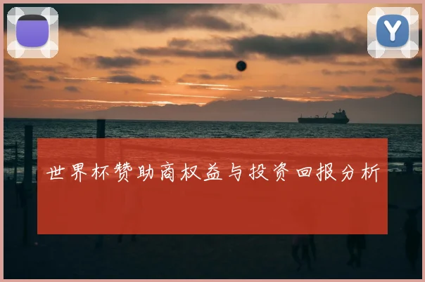 世界杯赞助商权益与投资回报分析