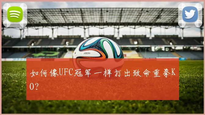 如何像UFC冠军一样打出致命重拳KO？