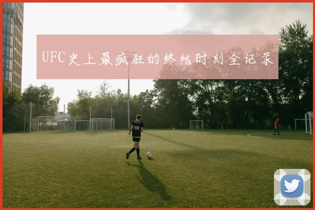 UFC史上最疯狂的终结时刻全记录